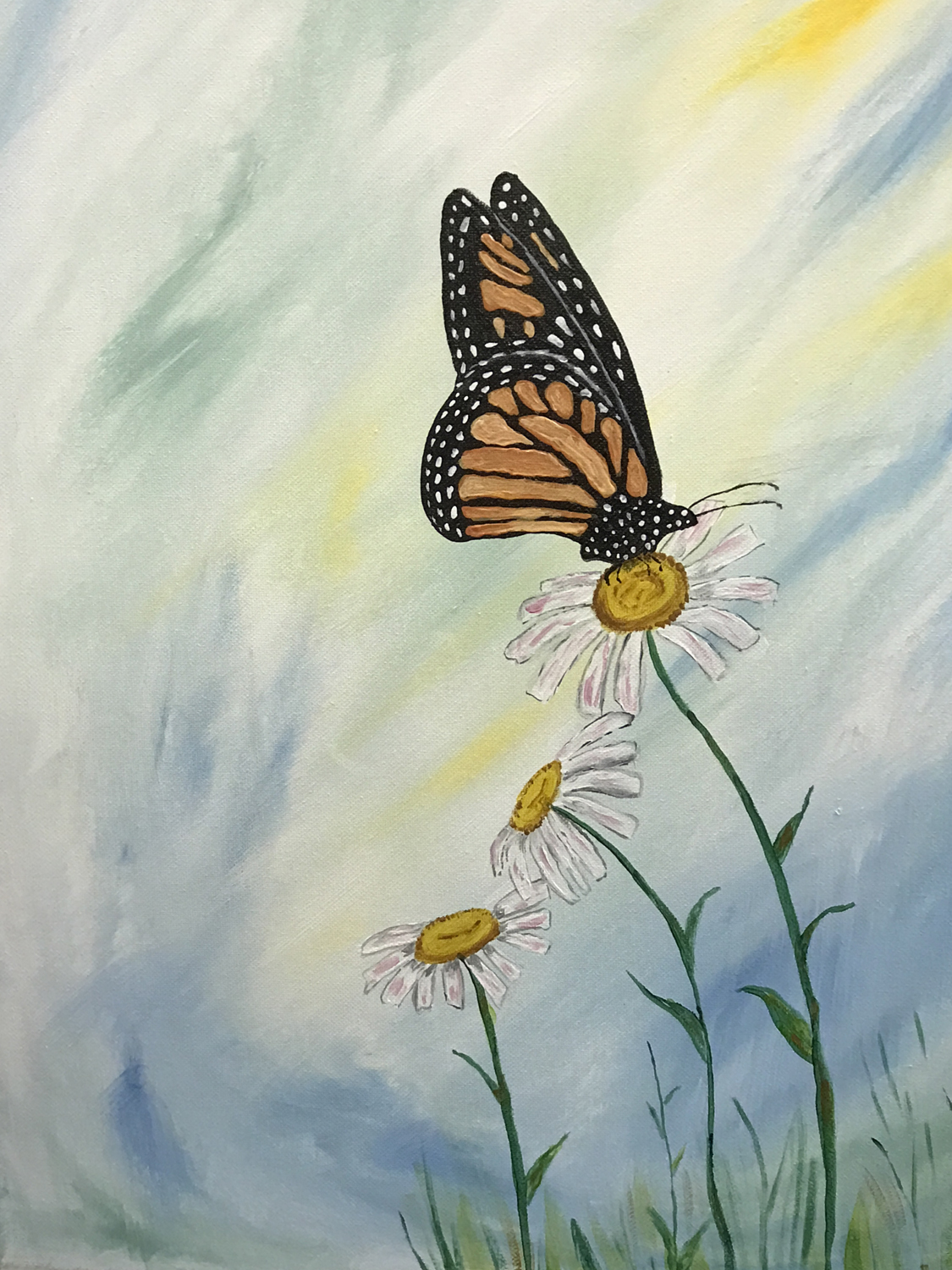 In Studio – Butterfly Daisy