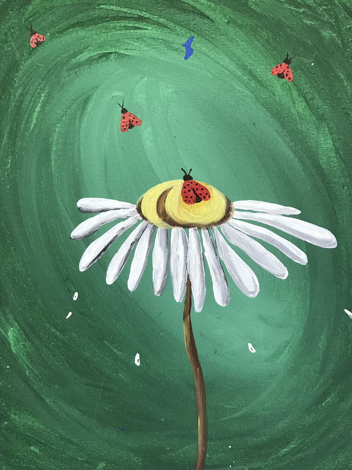 
        
            Expired
        In Studio – Single Daisy Ladybugs
