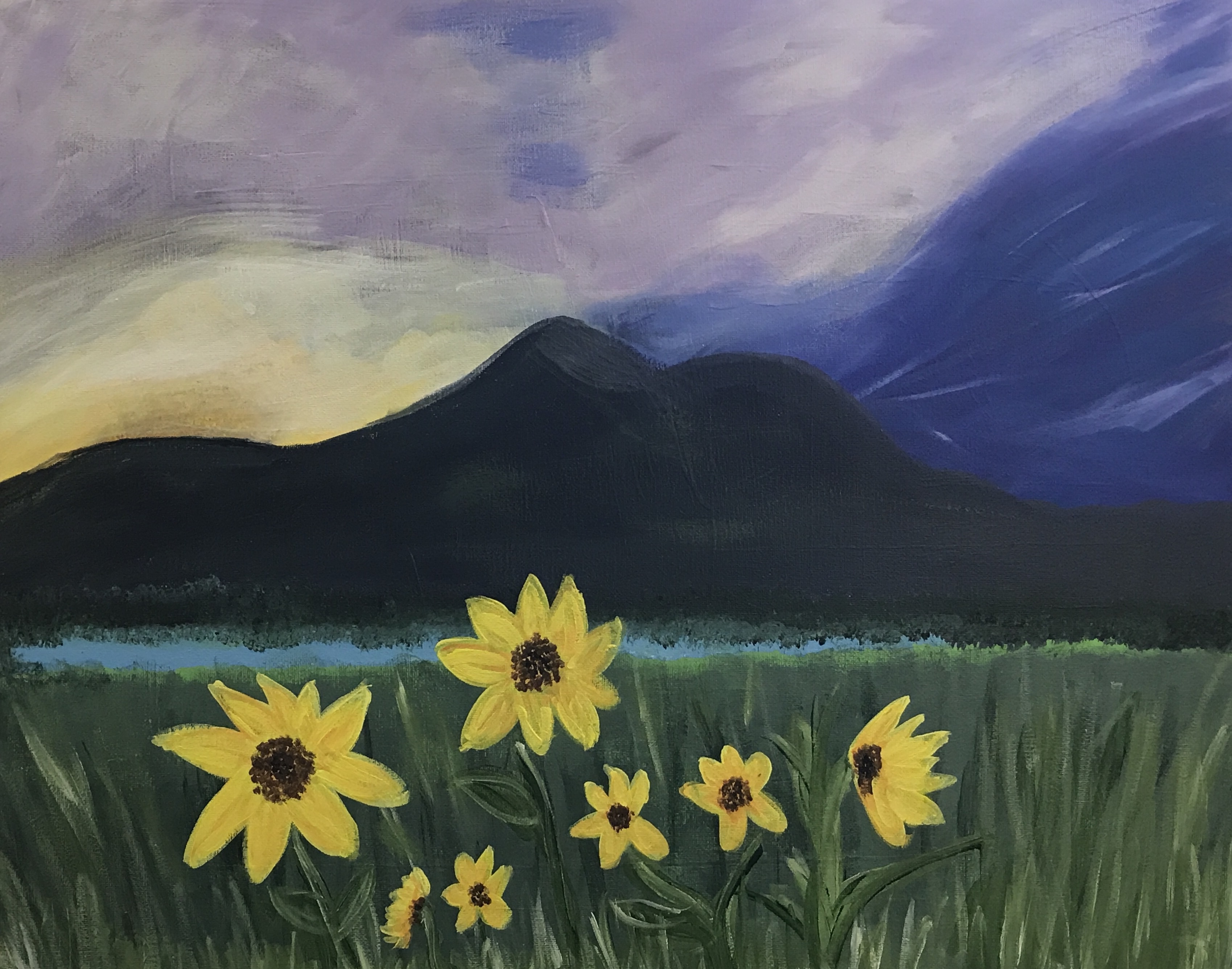 In Studio – Peaks Sunflower