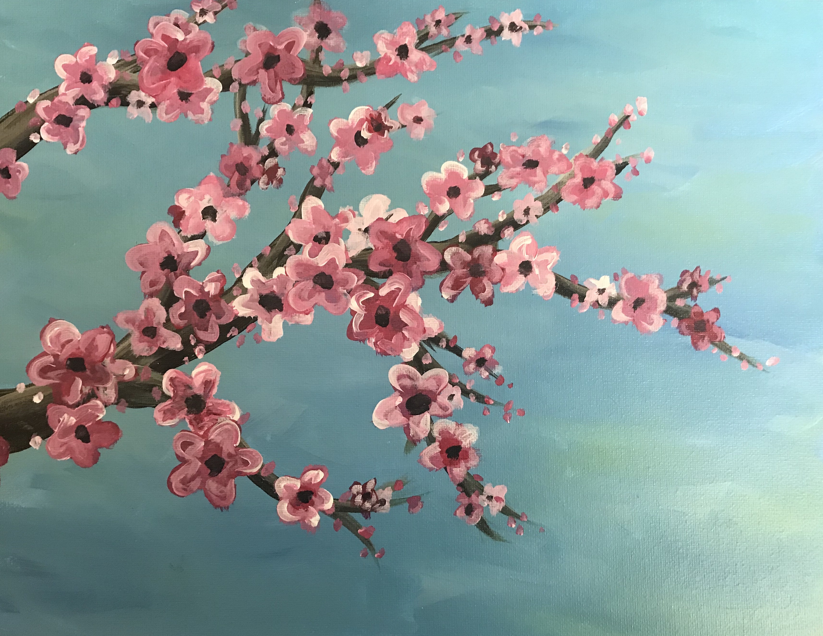 In Studio -Cherry Blossoms